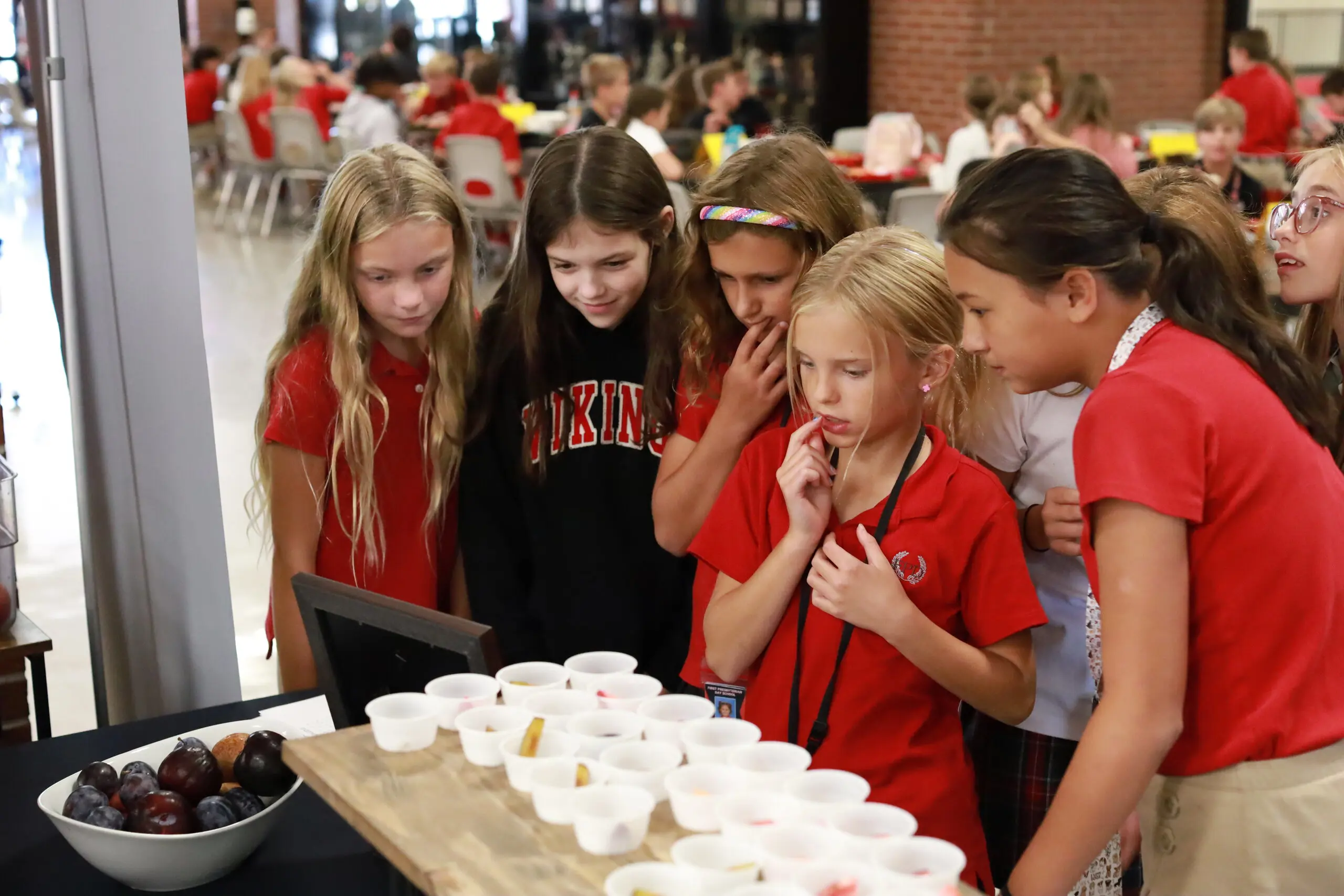 OptimizedImage,Optimized