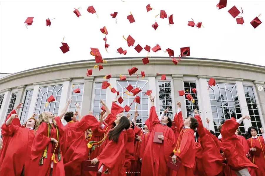 OptimizedImage,Optimized