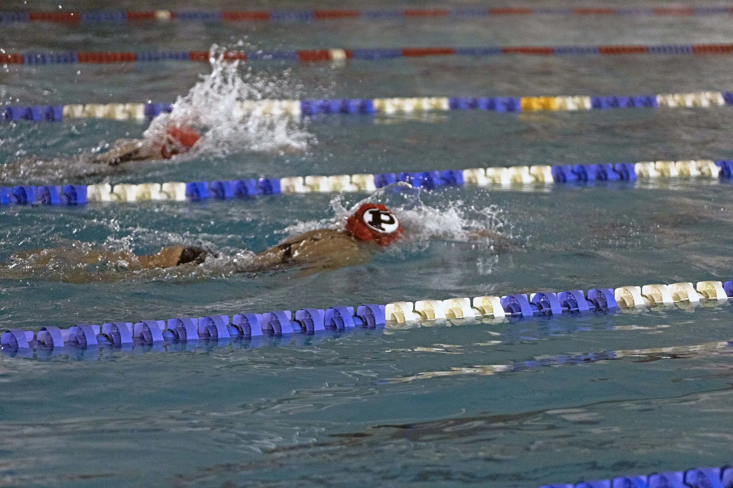 OptimizedImage,Optimized