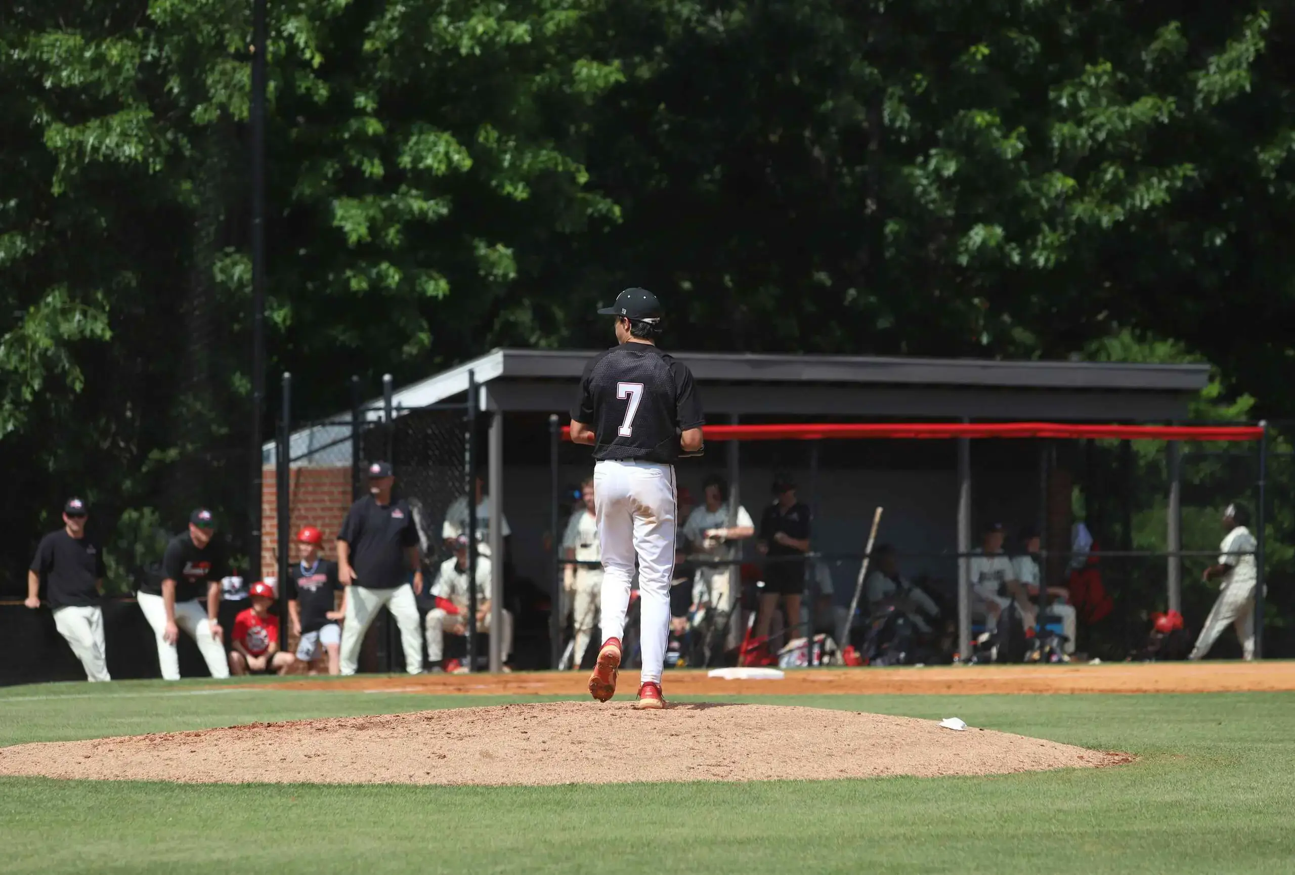 Baseball take the field