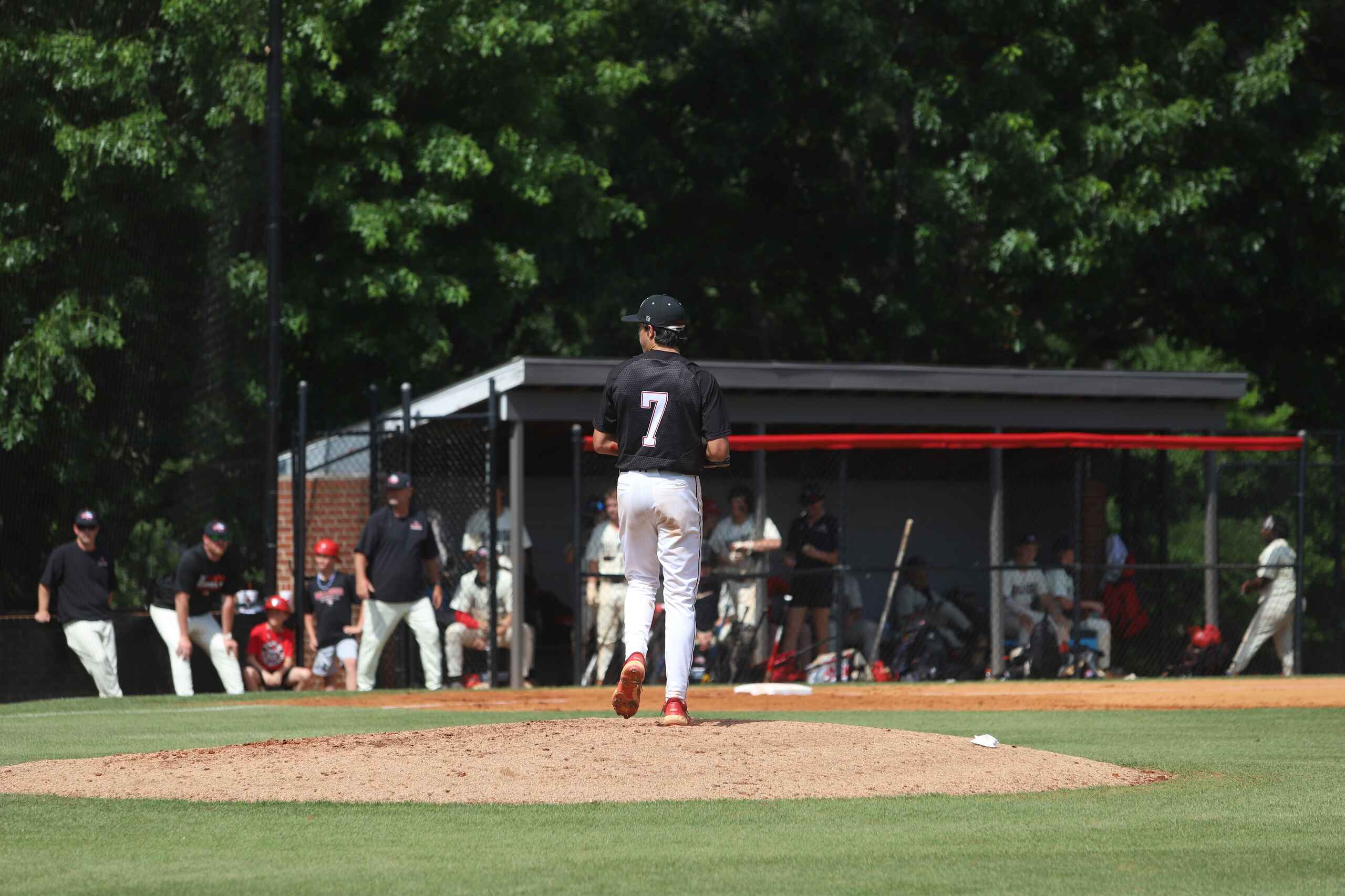  OptimizedImage,Optimized