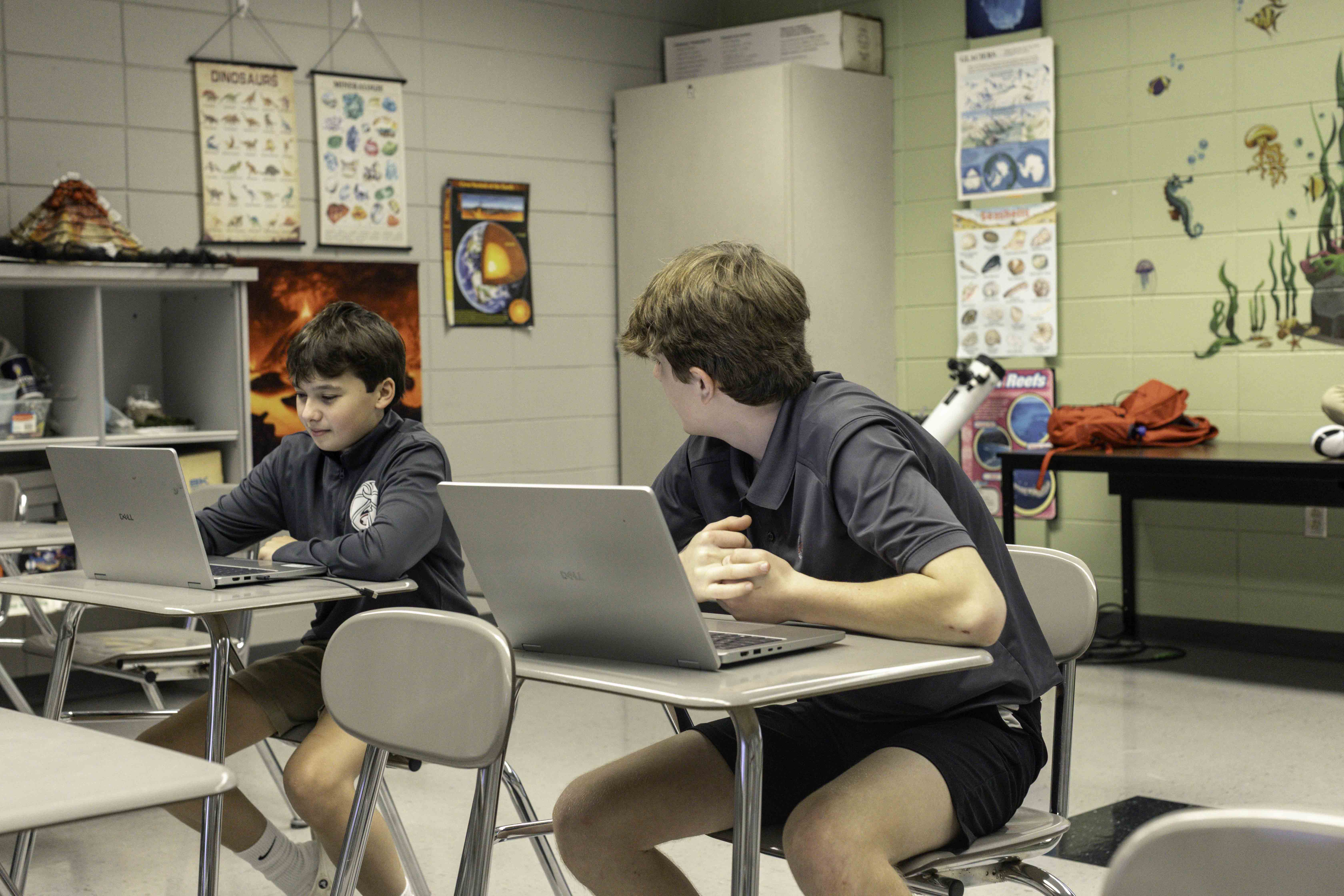 OptimizedImage,,,Optimized