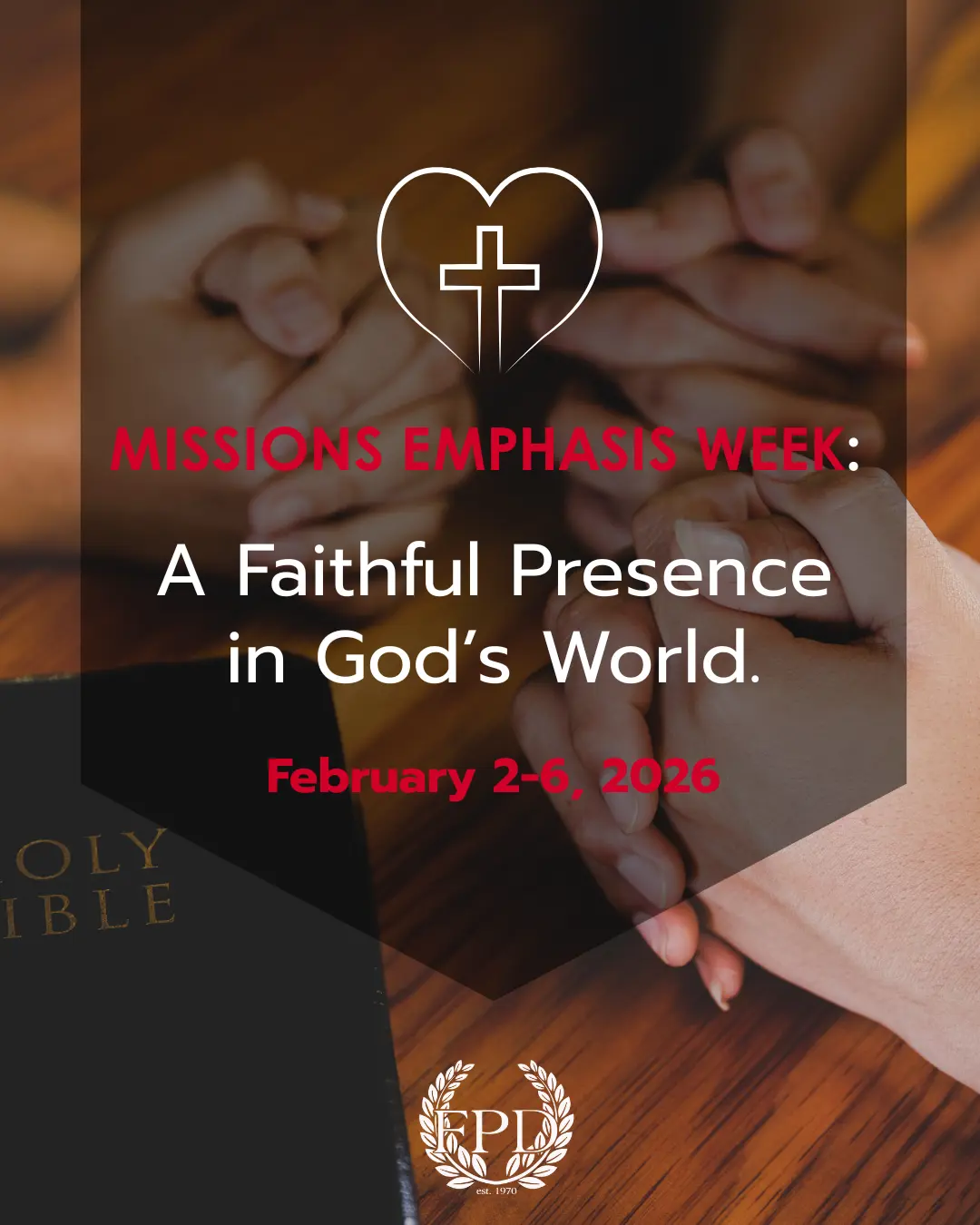  OptimizedImage,,,Optimized