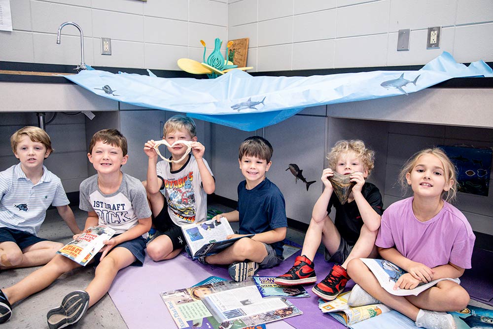 OriginalImage,,,Original