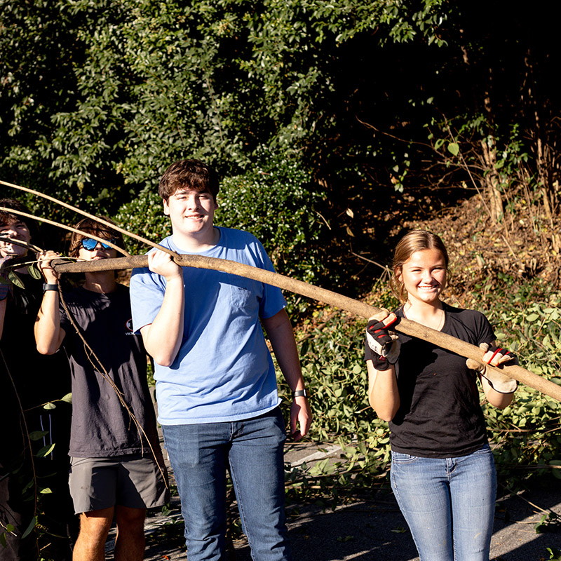 OriginalImage,,,Original