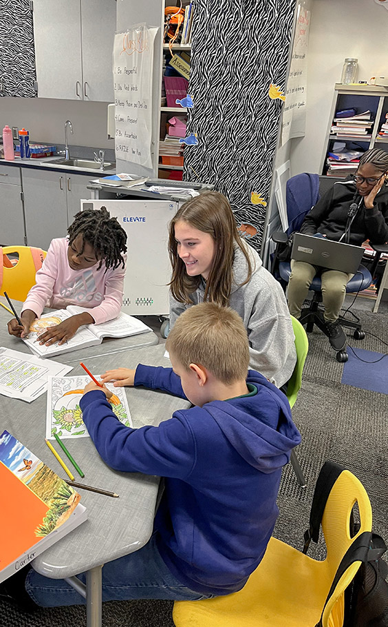 OriginalImage,,,Original