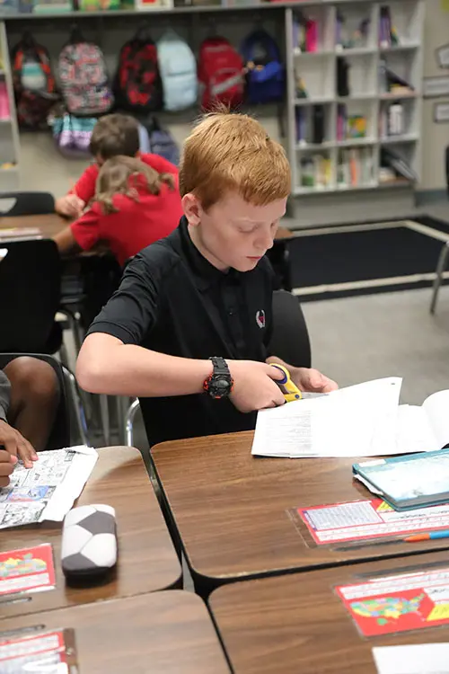  OptimizedImage,,,Optimized