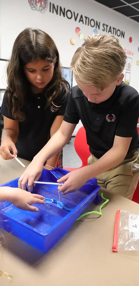  OptimizedImage,,,Optimized