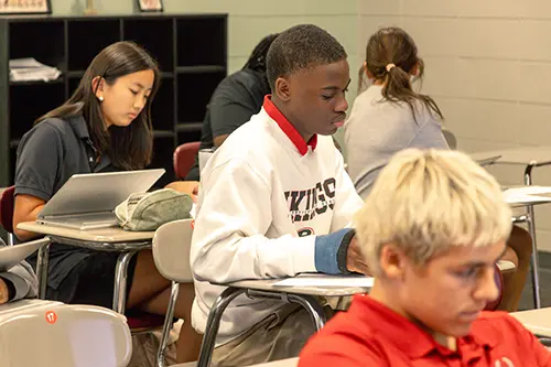 OptimizedImage,,,Optimized