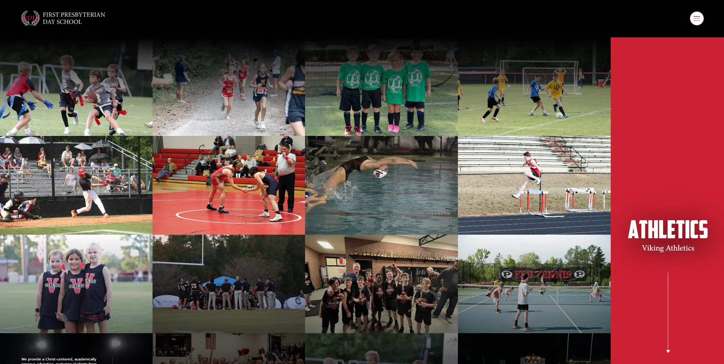  OptimizedImage,Optimized