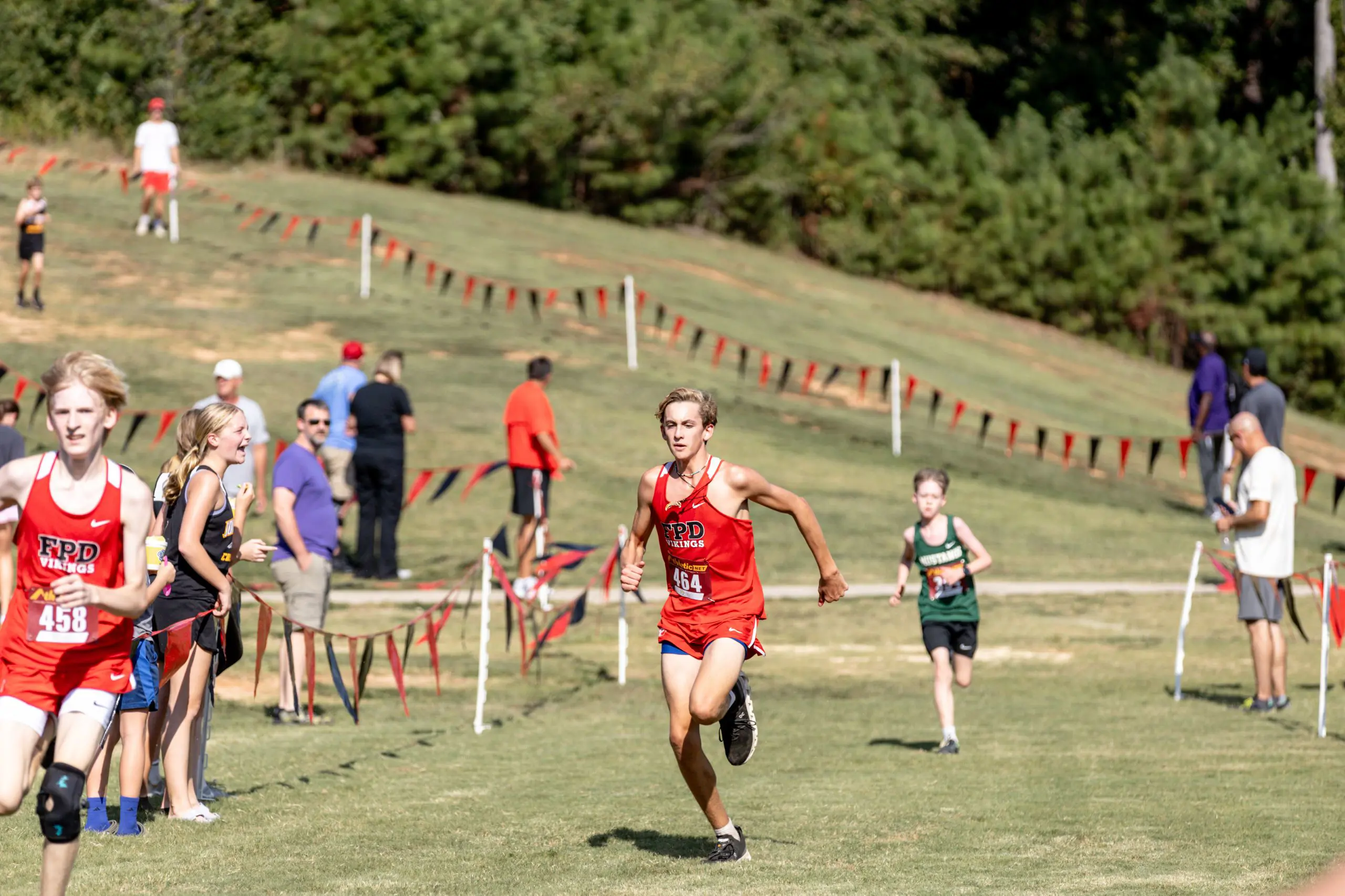  OptimizedImage,Optimized