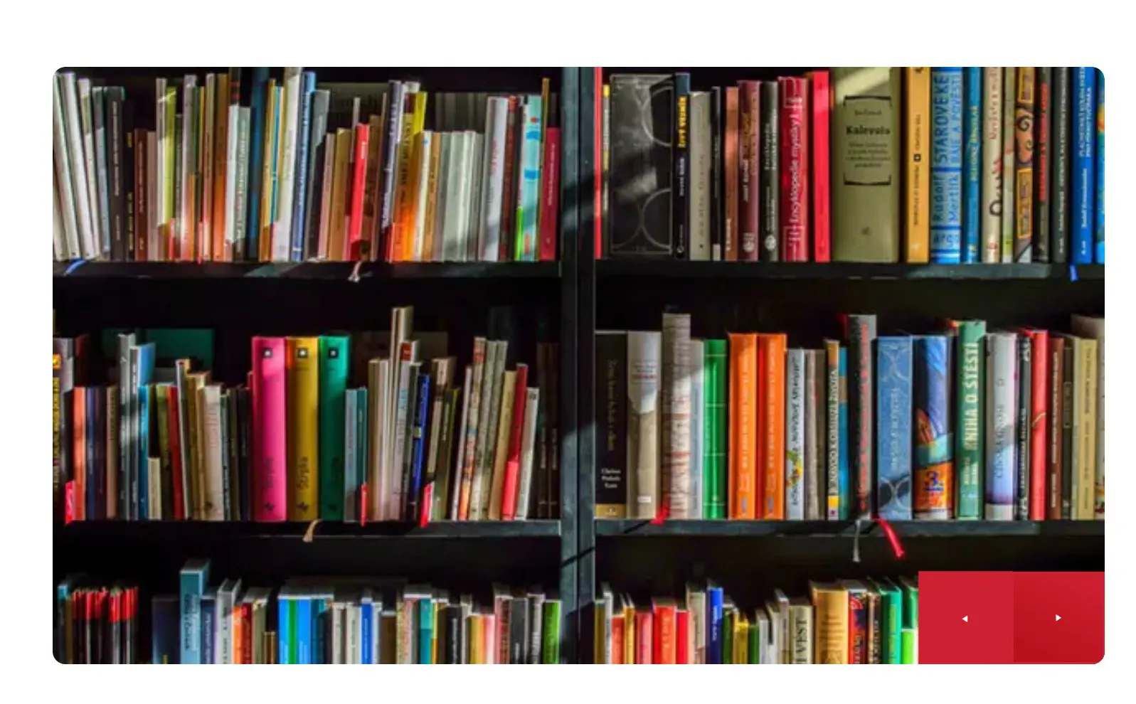  OptimizedImage,Optimized