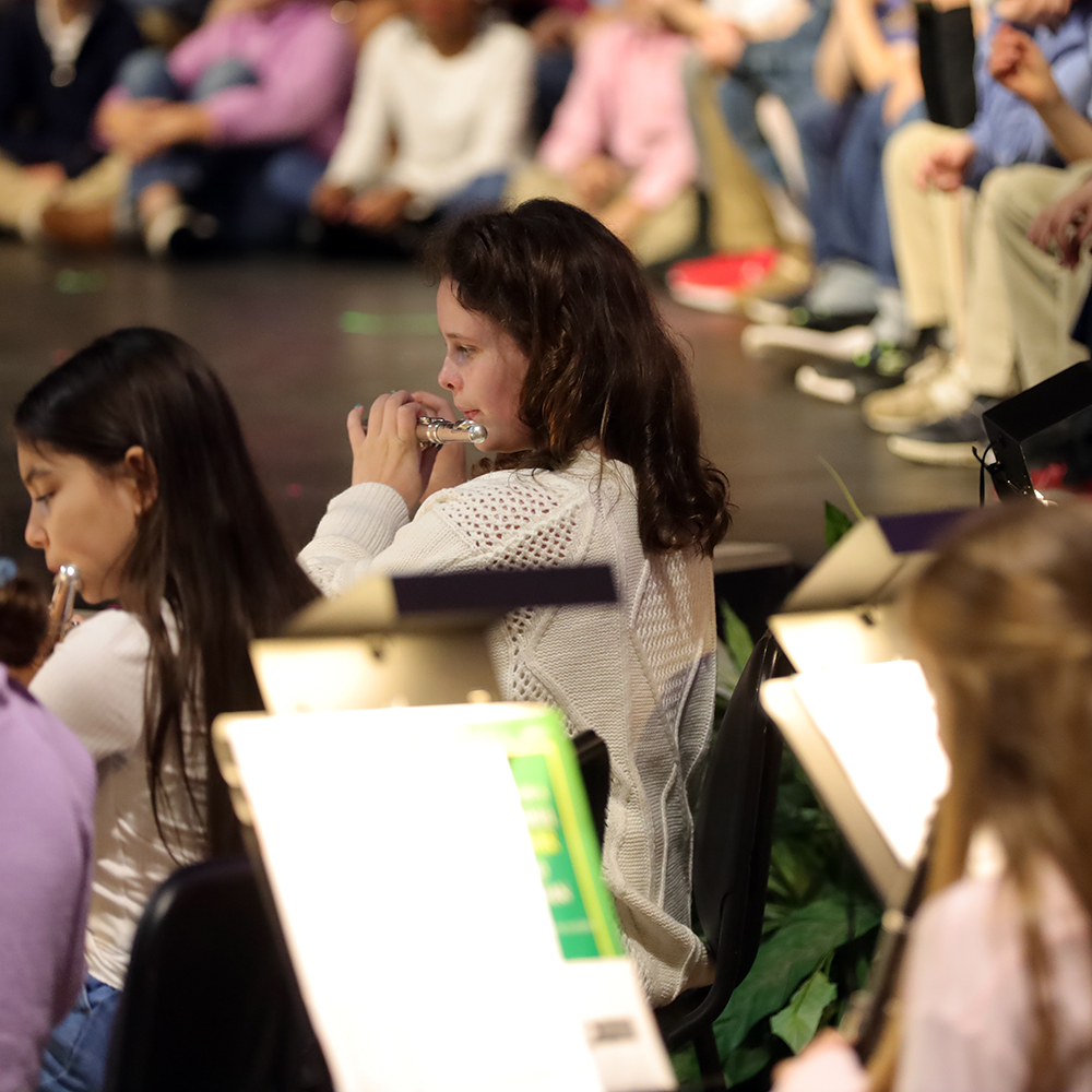 OriginalImage,,,Original