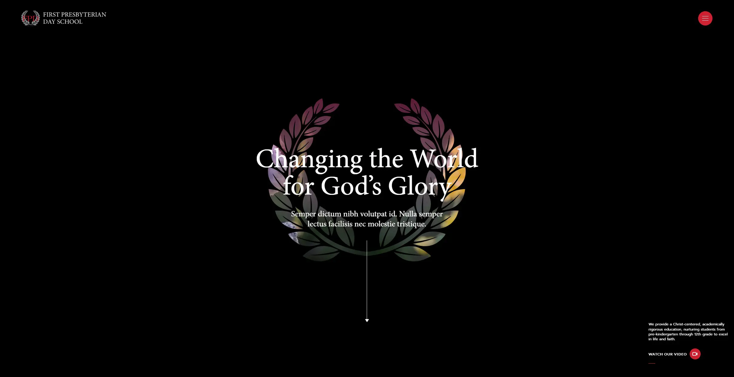 OptimizedImage,Optimized