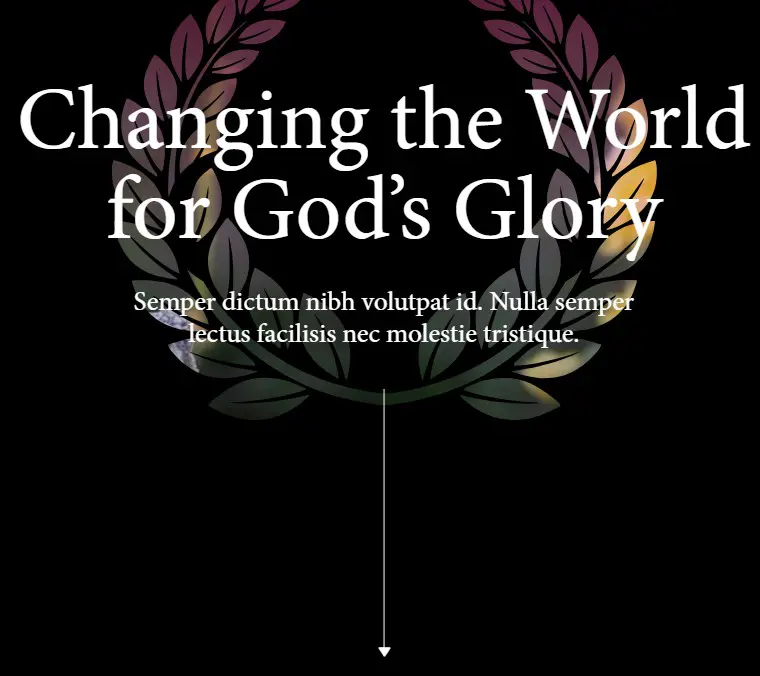  OptimizedImage,Optimized