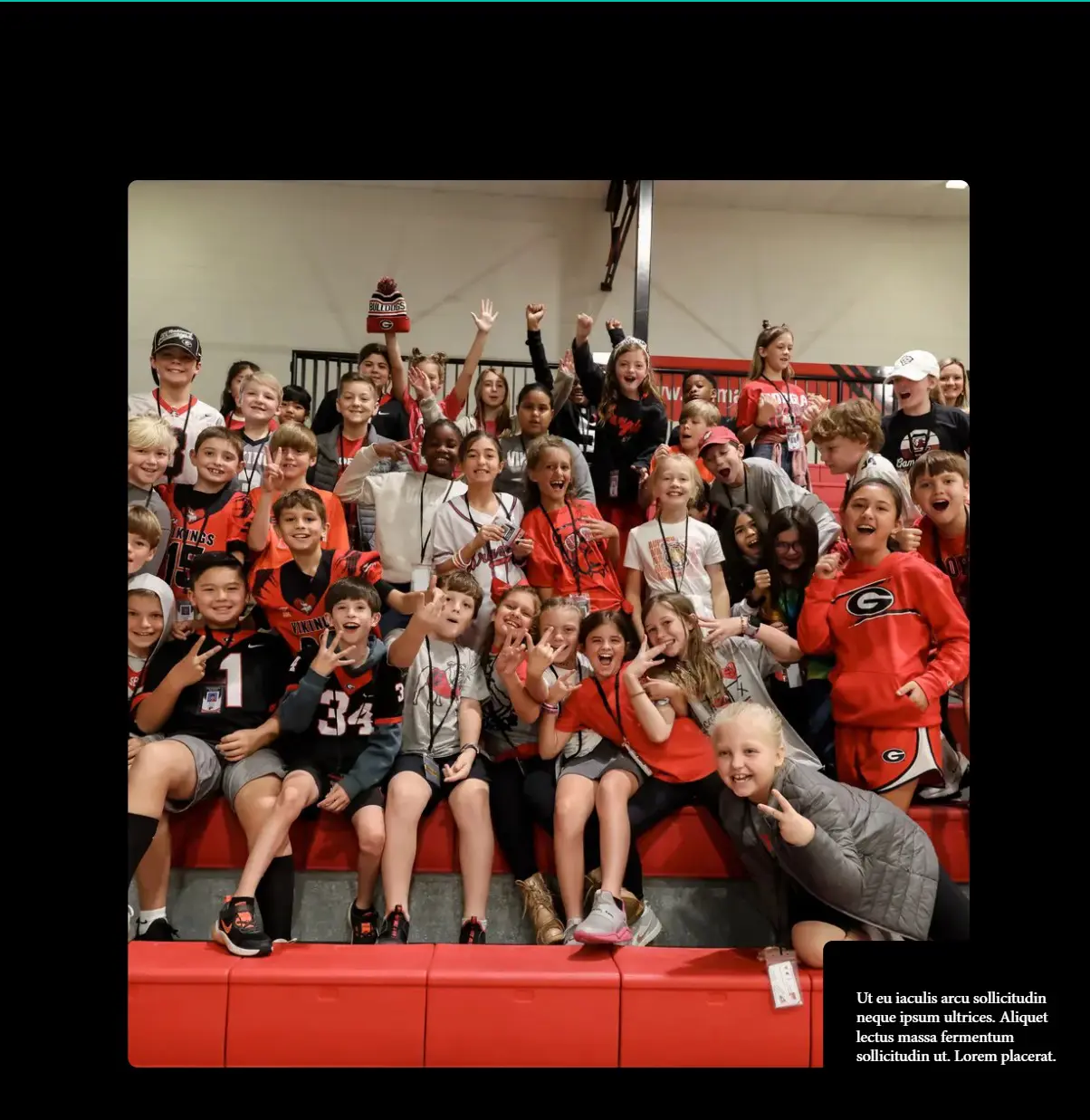  OptimizedImage,Optimized