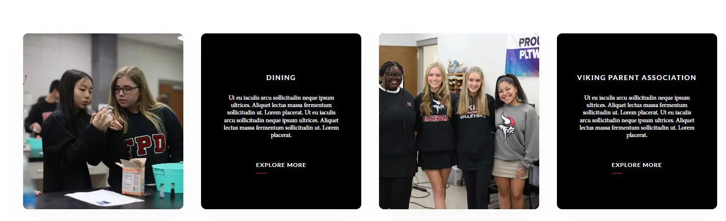  OptimizedImage,Optimized