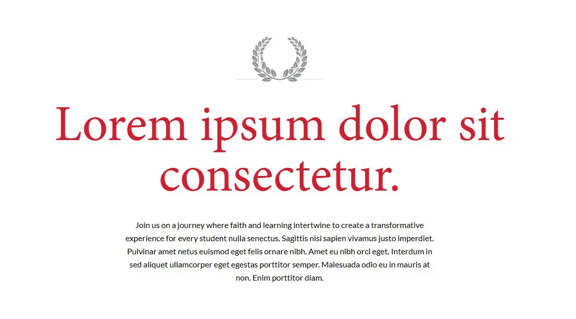  OptimizedImage,Optimized