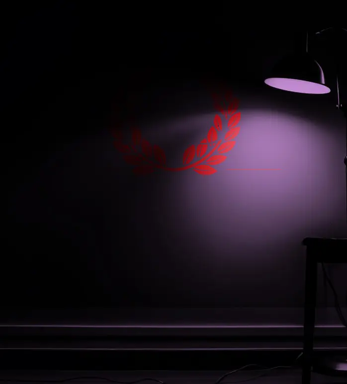  OptimizedImage,Optimized