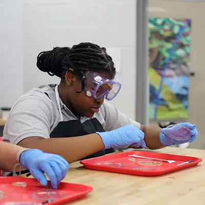  OptimizedImage,,,Optimized